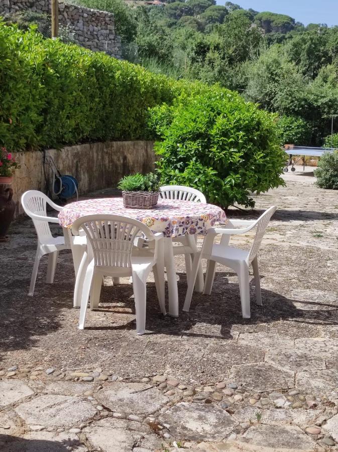 Villa Bouganvilla Cefalù Zewnętrze zdjęcie